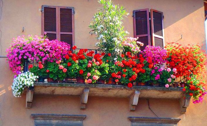 Gaziosmanpaşa En Güzel Çiçekli Balkonunu Seçiyor