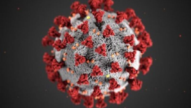 Bilim insanları: Koronavirüs zeka kaybına neden oluyor