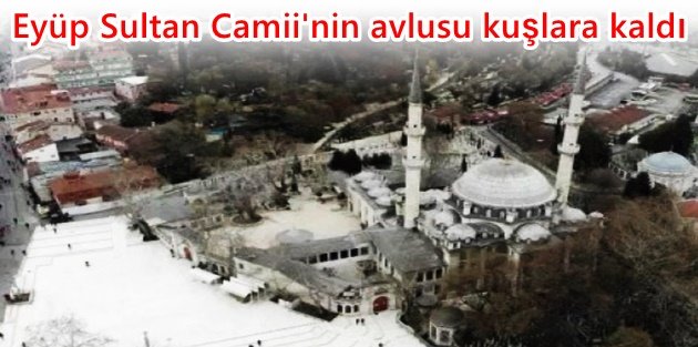 Eyüp Sultan Camii'nin avlusu kuşlara kaldı