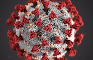 28 Temmuz koronavirüs rakamları açıklandı!