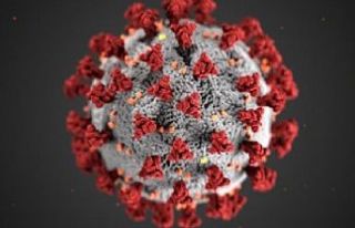 Bilim insanları: Koronavirüs zeka kaybına neden...