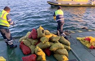 Bayrampaşa Hali'nde 5 ton kaçak midye ele geçirildi:...
