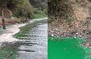 Sultangazi'de baraj suyu yeşile döndü