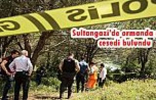 Sultangazi'de ormanda erkek cesedi bulundu