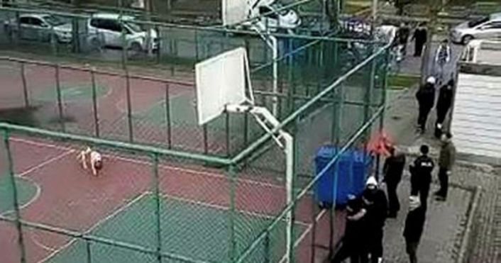 Pitbull dehşeti bitmiyor! Sultangazi&#039;de 2 kişi yaralandı