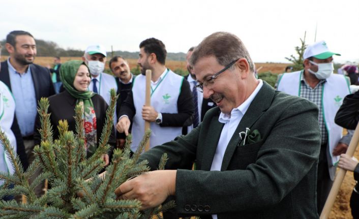 Eyüpsultan&#039;da 2021 yılında 53 bin 47 adet ağaç ve çalı dikimi