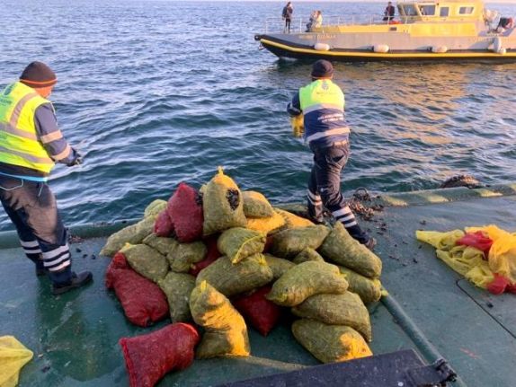 Bayrampaşa Hali&#039;nde 5 ton kaçak midye ele geçirildi: Canlı midyeler denize bırakıldı