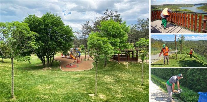 Gaziosmanpaşa Millet Bahçesi Yemyeşil Doğasıyla Yaza Hazırlanıyor