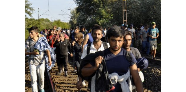 3 bin göçmen Viyana'ya geçti