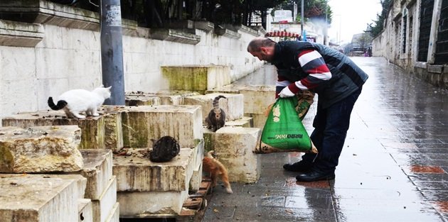 Eyüp Sultan’da Sokak Hayvanları Unutulmadı