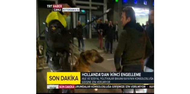 Hollanda polisi Türk göstericilere müdahale etti