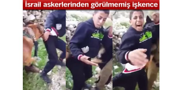 İsrailli askerler köpeklerini Filistinli gence saldırttı!