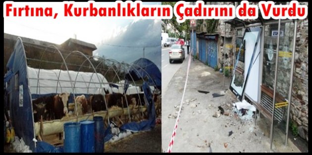 İstanbul’da fırtına,Sultangazi’deki kurbanlık çadırlarını uçurdu
