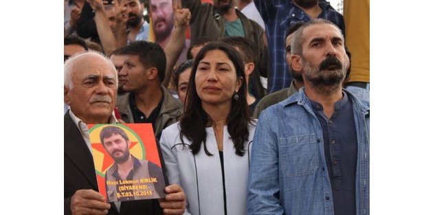 Öldürülen terörist HDP'li vekilin akrabası çıktı