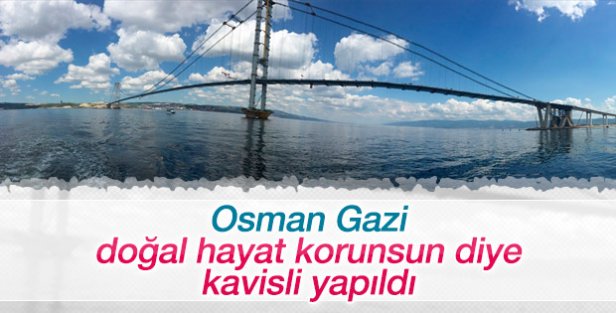 Osman Gazi Köprüsü neden kavisli yapıldı