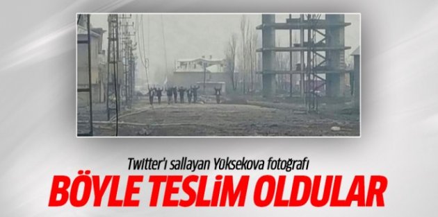 PKK'lılar böyle teslim oldu! Twitter'ı sallayan fotoğraf...