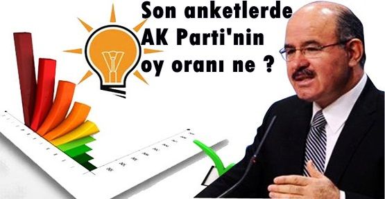 Son anketlerde AK Parti'nin oy oranı ne ?  