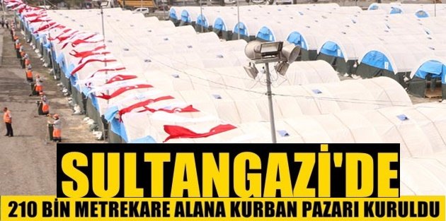 Sultangazi'de 210 bin metrekare alana kurban pazarı kuruldu