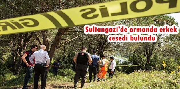 Sultangazi'de ormanda erkek cesedi bulundu