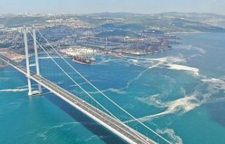 Osmangazi Köprüsü’nü saran deniz salyası havadan...