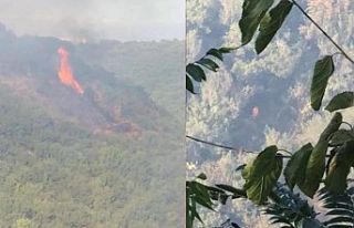 Sultangazi Şehir Ormanı yandı: 10 dönüm kül...