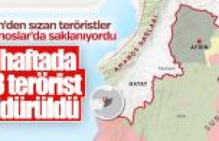 Afrin'in ardından Amanoslar'da da PKK'ya ağır darbe...