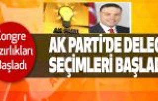 AK Parti Gaziosmanpaşa delege seçimleri başlıyor!