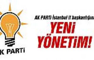AK Parti İstanbul il başkanlığına yeni yönetim!