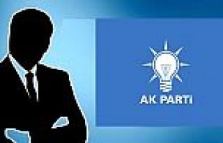 AK Parti'nin önemli isimleri nereden aday?