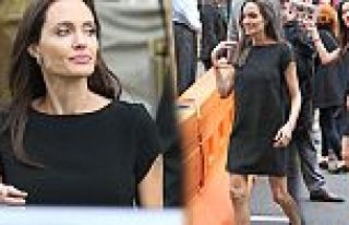Angelina Jolie günden güne eriyor