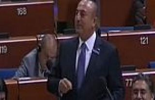 Çavuşoğlu, AKPM'de FETÖ'yü anlattı!