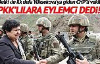 CHP'li vekil PKK'lılara eylemci dedi!