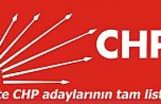 CHP'nin milletvekili aday listesi belli oldu!