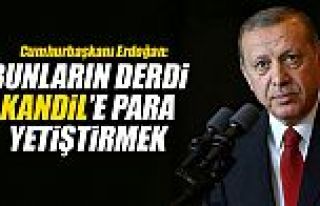 Cumhurbaşkanı Erdoğan: Bunların derdi Kandil'e...