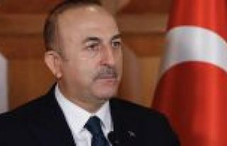 Dışişleri Bakanı Çavuşoğlu: DEAŞ'ı tek başımıza...
