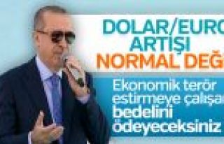 Erdoğan döviz kurlarının artmasıyla ilgili konuştu