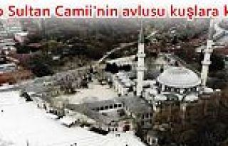 Eyüp Sultan Camii'nin avlusu kuşlara kaldı