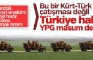 Hollanda: Bu bir Türk, Kürt çatışması değildir!