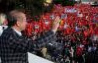 İki ülkede başbakan Erdoğan'a destek mitingi