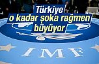 IMF: Türkiye çeşitli şoklara rağmen büyüyor