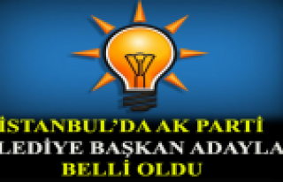 İstanbul Ak Parti Kesinleşen Belediye Başkan Adayları