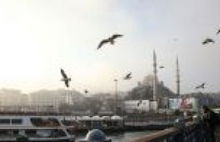 İstanbul soğuk ve yağışlı sistemin etkisine...