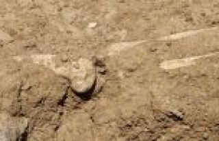 Marmaray kazısında tarihi mezar kalıntıları bulundu