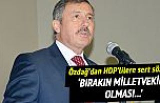 Özdağ'dan HDP'lilere sert sözler!