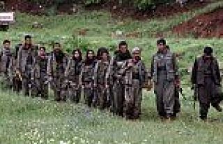 PKK silahlı kuvvetlerini kurmak istiyor