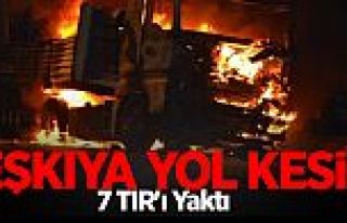 PKK Yol Kesip 7 TIR'ı Yaktı