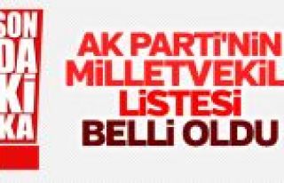 Son Dakika: İşte AK Parti'nin adayları!