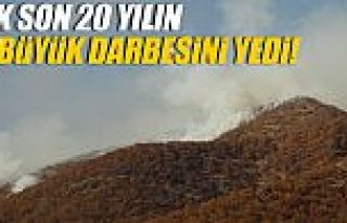 Tunceli'de PKK son 20 yılın en büyük darbesini...