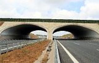 Türkiye'nin ilk yaban hayatı köprüsü