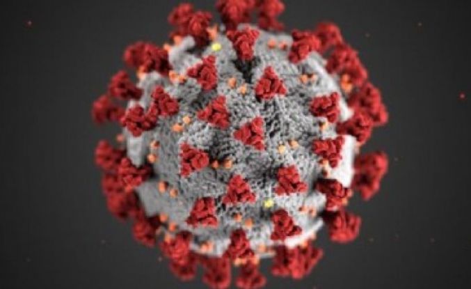 Bilim insanları: Koronavirüs zeka kaybına neden oluyor